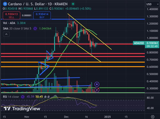 Altcoin Piyasasında Hareketlilik: Cardano ve XRP'nin Yükseliş Sinyalleri