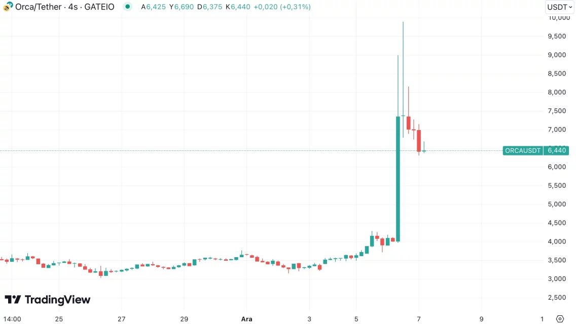 Bitcoin (BTC) ve Ethereum (ETH) Yükselirken Hangi Altcoin'ler Kazanç Sağladı?