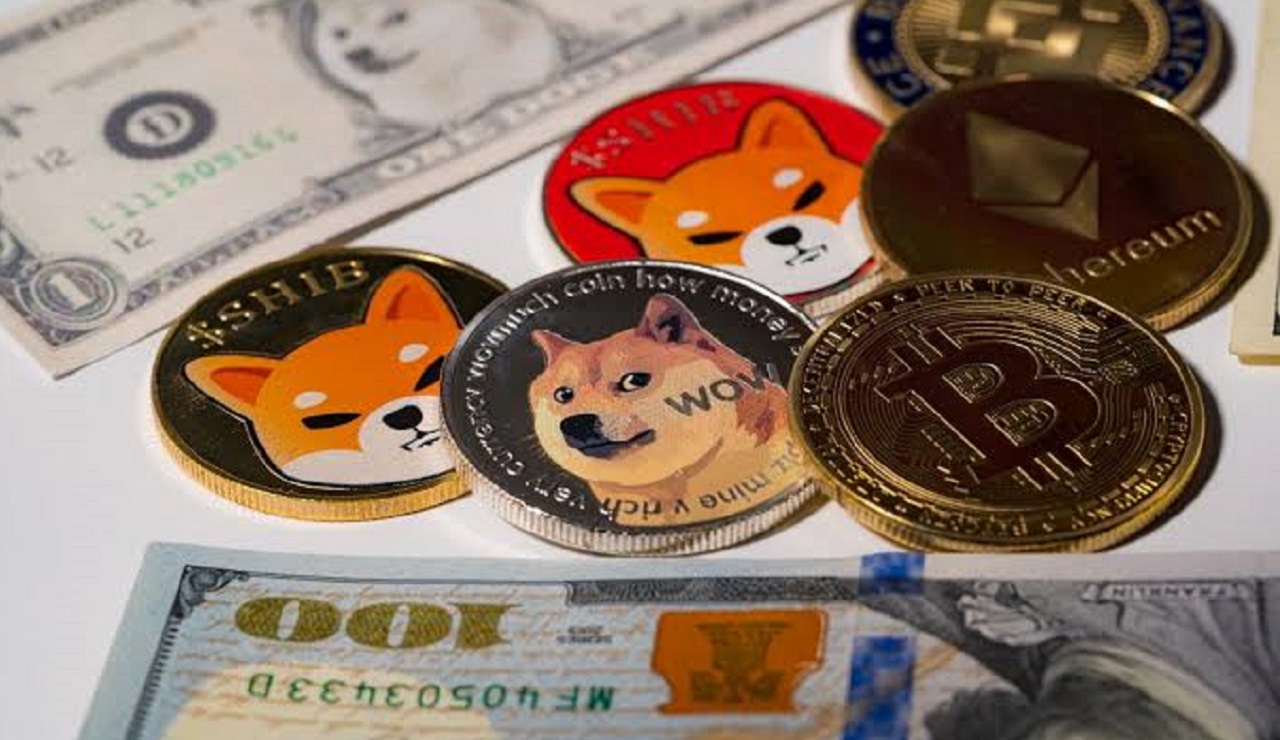 Dogecoin ve Shiba Inu Performans Kıyaslaması