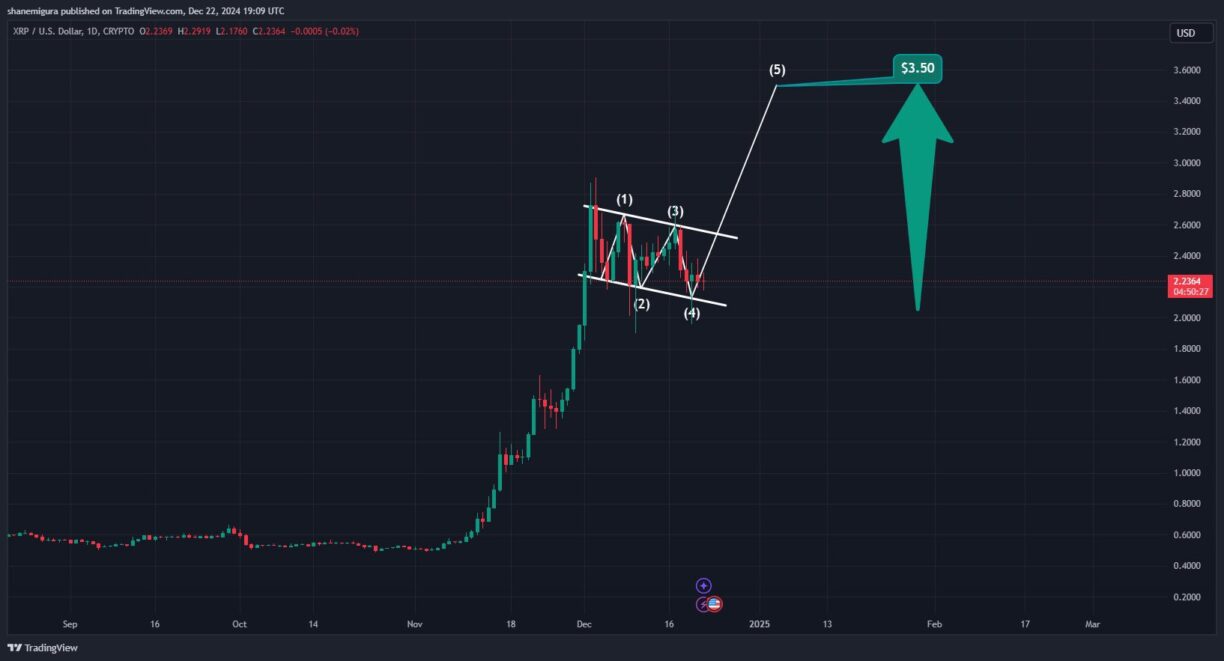 XRP Coin ve Chainlink (LINK) Fiyatları: Balinaların Desteği ve Gelecek Beklentileri