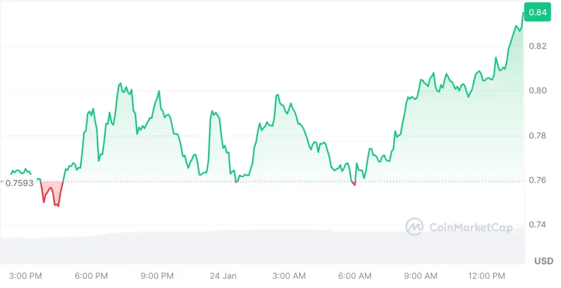 Bitcoin ve Kripto Piyasasında Son Gelişmeler: Yükselen Altcoinler