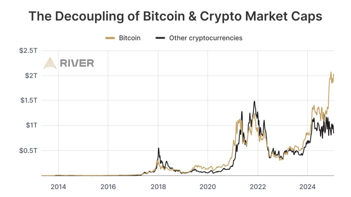 Sonuç: Bitcoin Öne Çıkıyor, Altcoin’ler Riskte