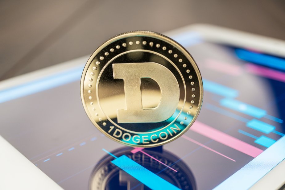 Dogecoin Topluluğunda Balina Hareketleri Dikkat Çekiyor