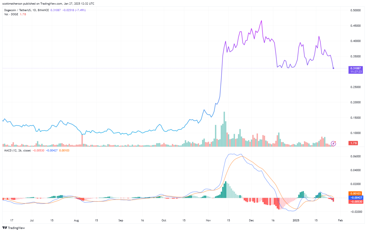 Dogecoin Fiyatında Çöküş ve Ralli Beklentisi