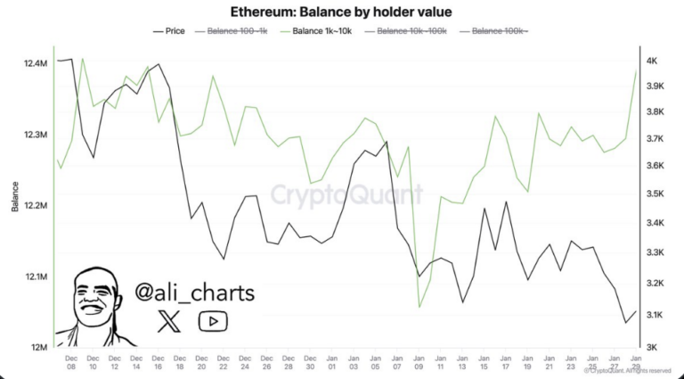 Ethereum Balinalarından Büyük Alım: 100.000 ETH Satın Aldılar!