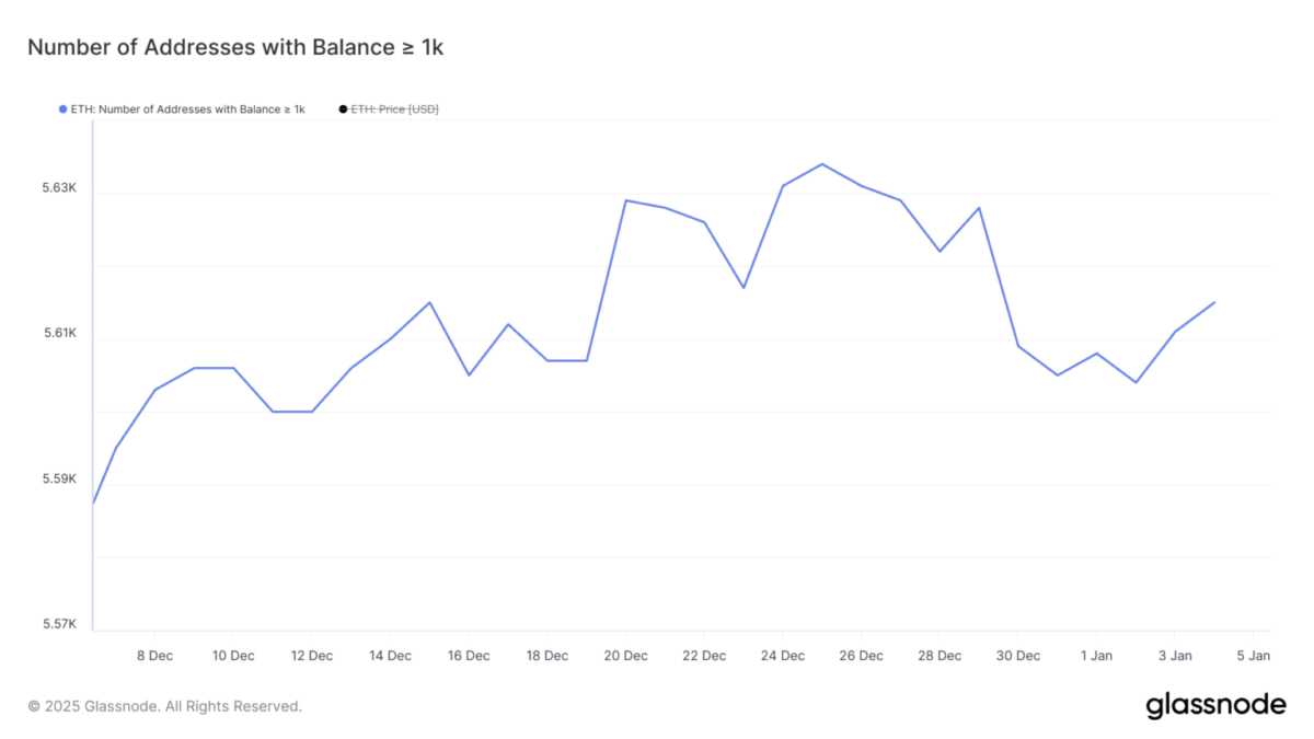 Ethereum ve Dogecoin Fiyatları Balinaların Desteğiyle Yükseliyor