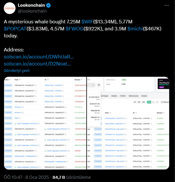 Kripto Para Balinalarının Yatırım Stratejileri ve Meme Coin Performansları