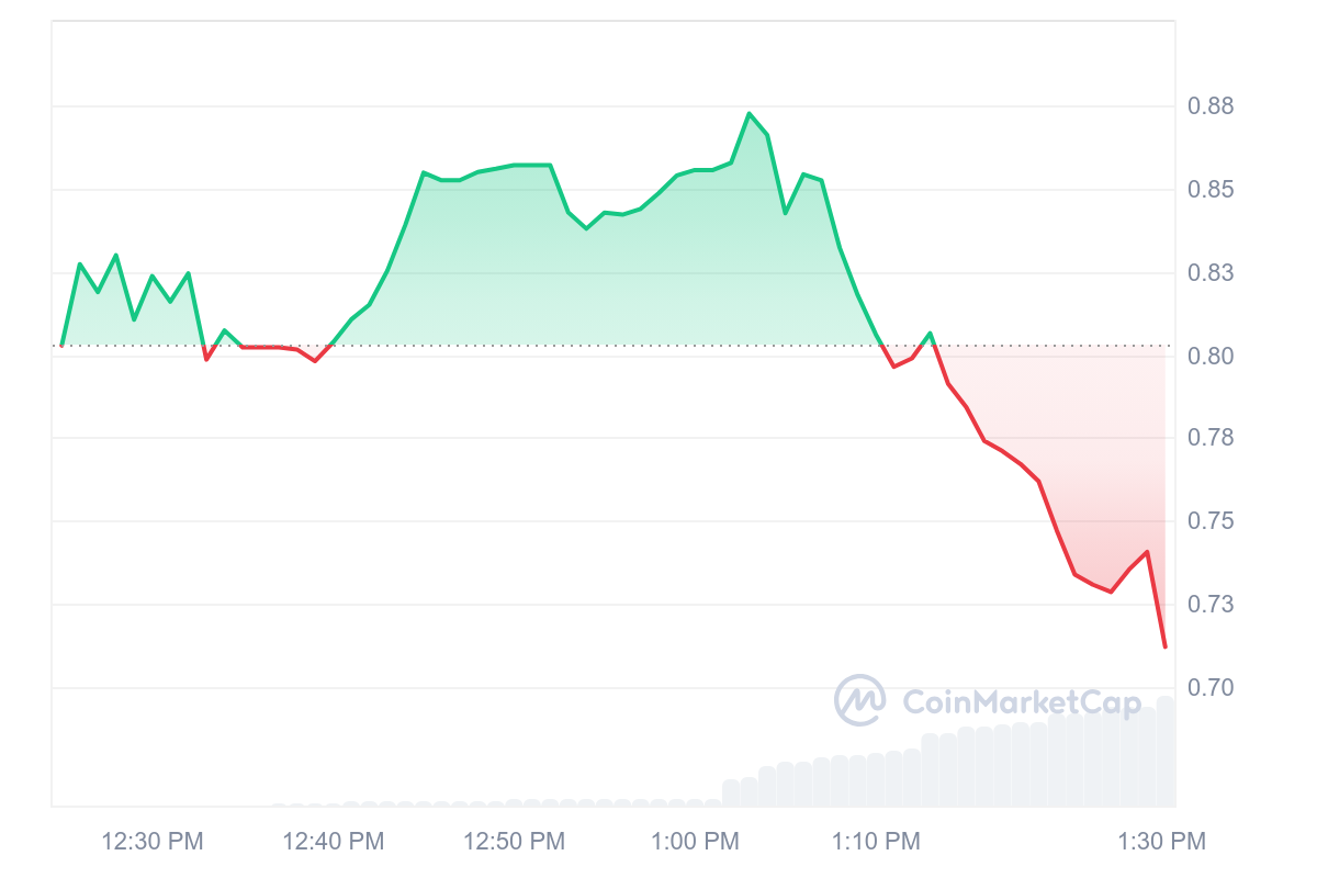 Kripto Para Piyasasında Dalgalı Seyir