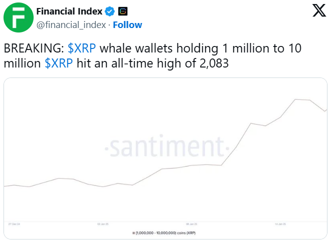 XRP Balina Aktiviteleri Rekor Seviyede