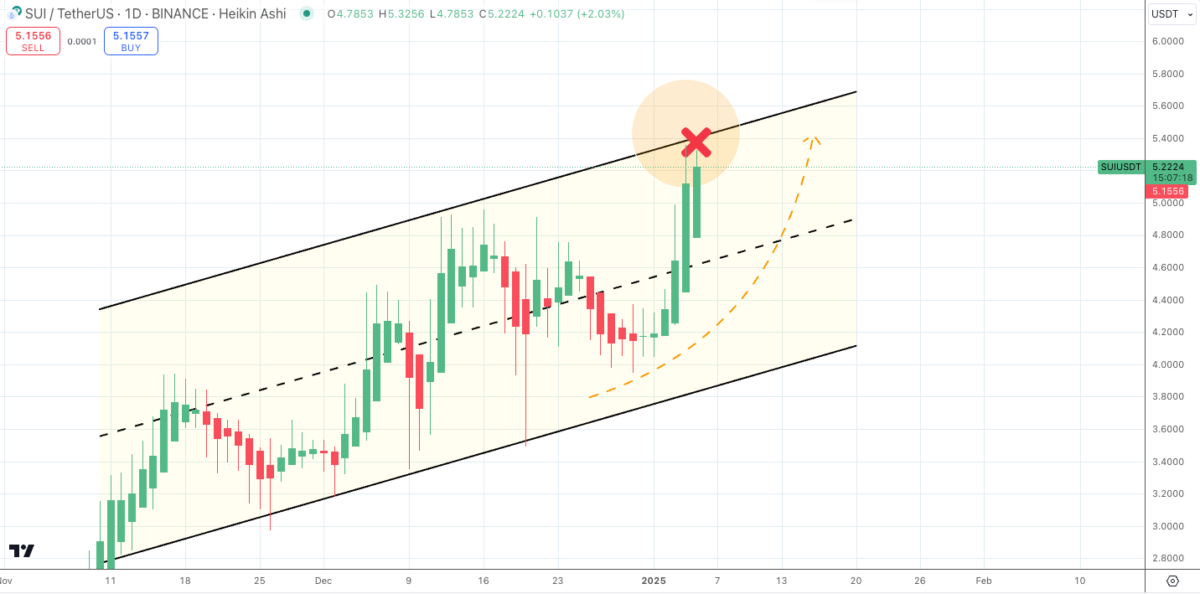 Kripto Piyasasında SOL Coin, Shiba Inu ve SUI Analizi: Yatırımcılar Zor Günler Geçiriyor