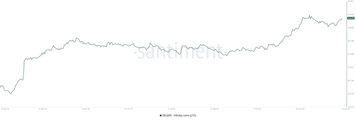 Litecoin (LTC) Balinalardan Yüzde 30 Milyonluk Alım Yapıldı