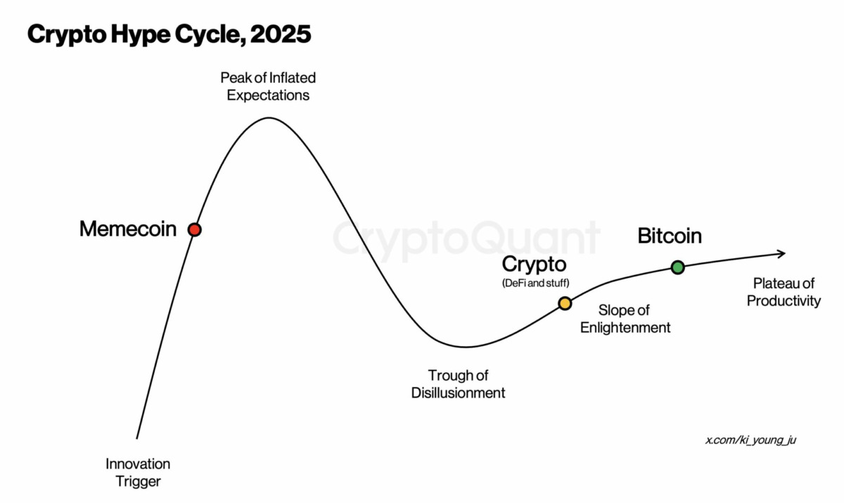 Memecoin Varlıklarının Geleceği