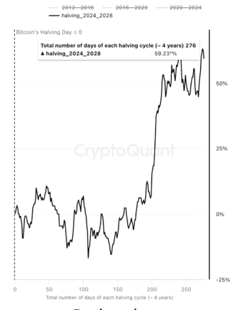 Bitcoin Fiyatı ve Geleceği Üzerine Analiz