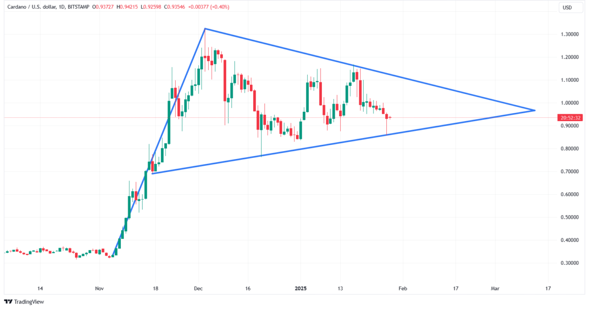 Cardano (ADA) Yatırımcılarının Dikkatini Çeken Durum