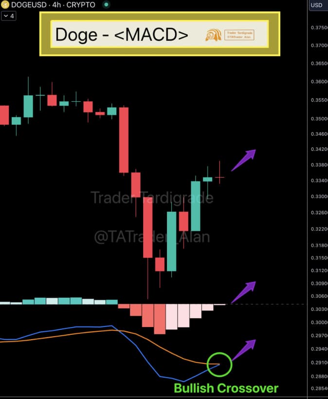 Dogecoin (DOGE) Yükseliş Sinyalleri Veriyor