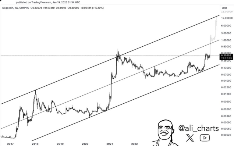 Dogecoin Fiyatı Balina Birikimi ile Yükseliyor