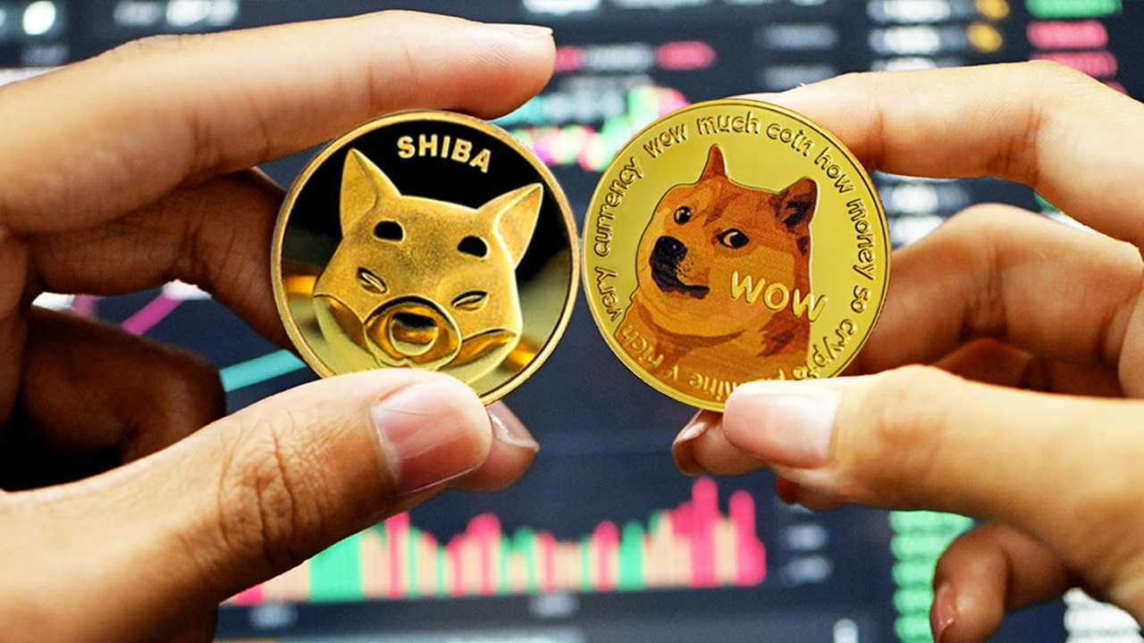 Dogecoin ve Shiba Inu: Zorluklarla Dolu Bir Dönem