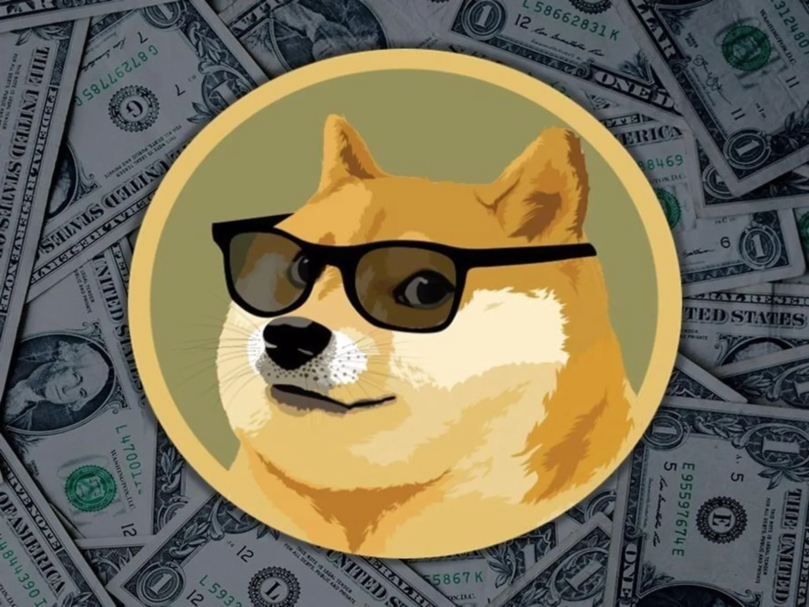 Dogecoin Yatırımcıları İçin Fırsatlar ve Gelecek Beklentileri