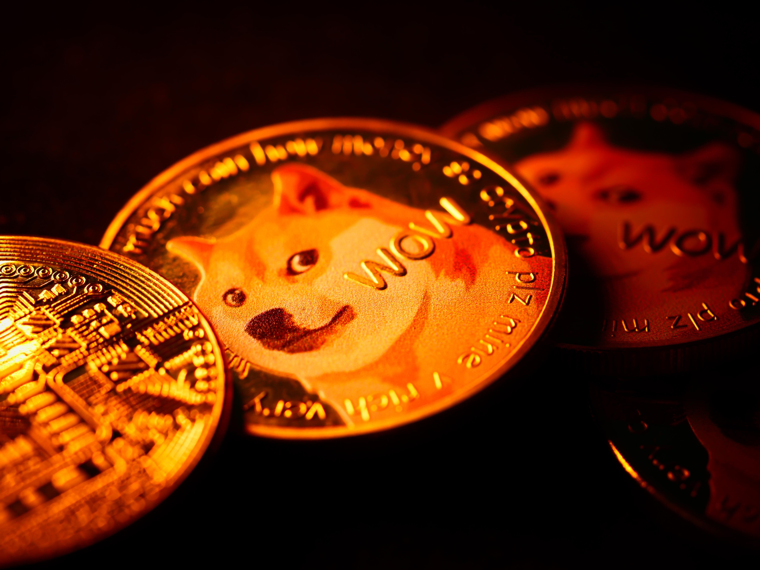 Dogecoin Yatırımcıları İçin Fırsatlar ve Gelecek Beklentileri