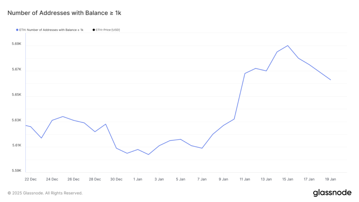 Ethereum (ETH) Piyasa Durumu ve Balina Hareketleri