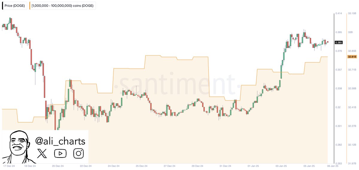 Cardano ve Dogecoin de Radar Altında