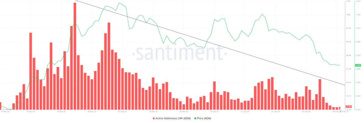 Cardano (ADA) Fiyatında Düşüş ve Ağ Etkinliği