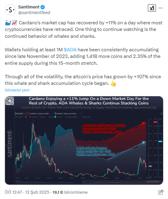 Cardano'da Balina Hareketleri ve Fiyat Trendleri