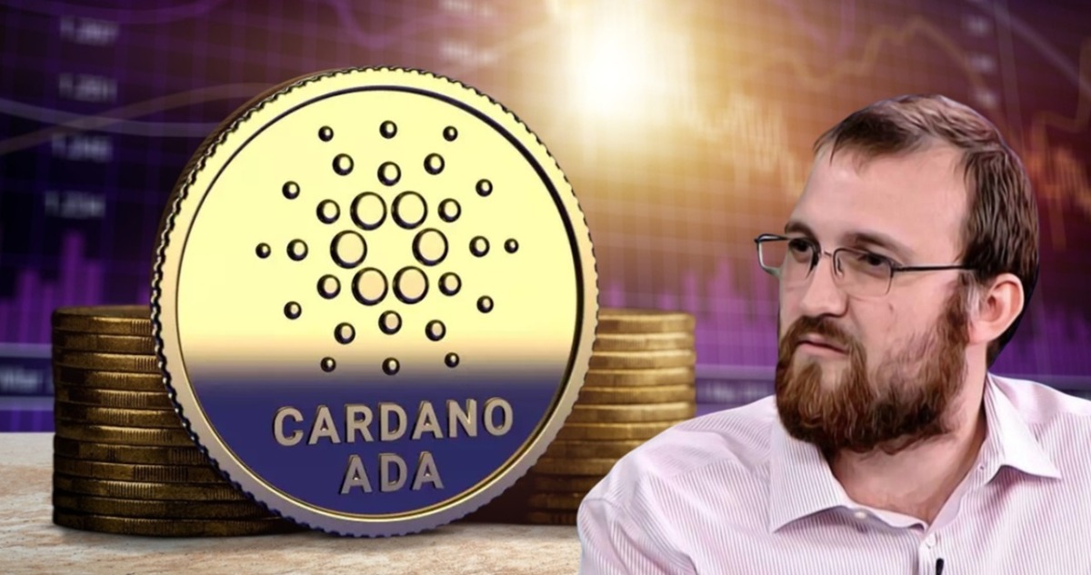 Cardano Vakfı’nın Araştırması: Çözümlerin Dağılımı