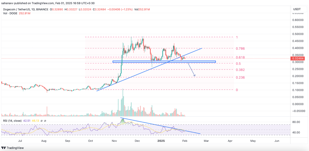 Dogecoin için Gelecek Tahminleri