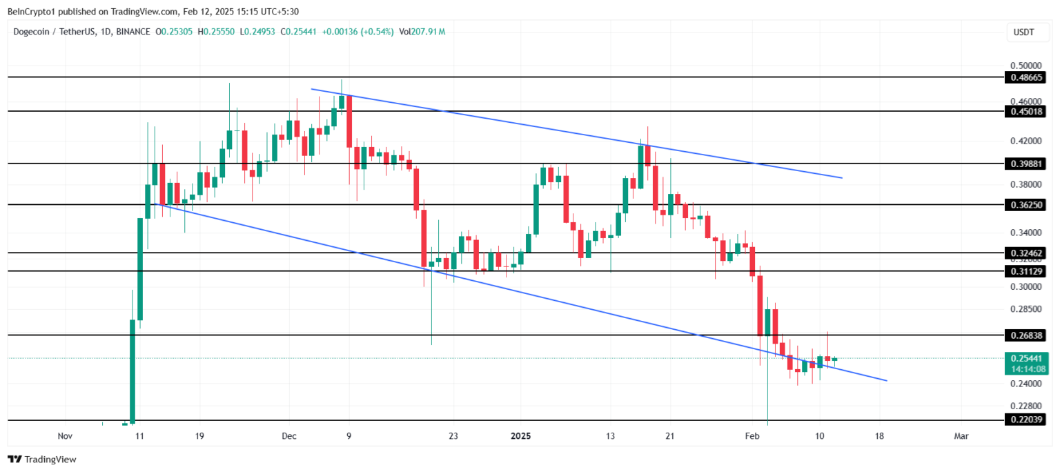 Dogecoin Fiyat Analizi: Belirsizlik ve Yatırımcı Davranışları