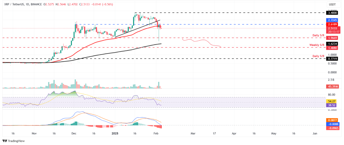 Kripto Para Piyasalarında Son Durum