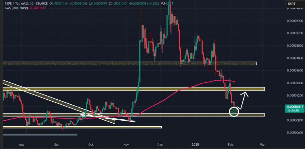 PEPE'nin Kritik Destek Seviyesi ve Piyasa Analizi