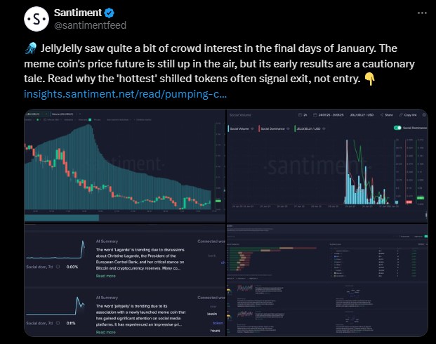 Altcoinlerde Hangi Kriptoları Satmalıyız? PNUT Coin ve Diğerleri