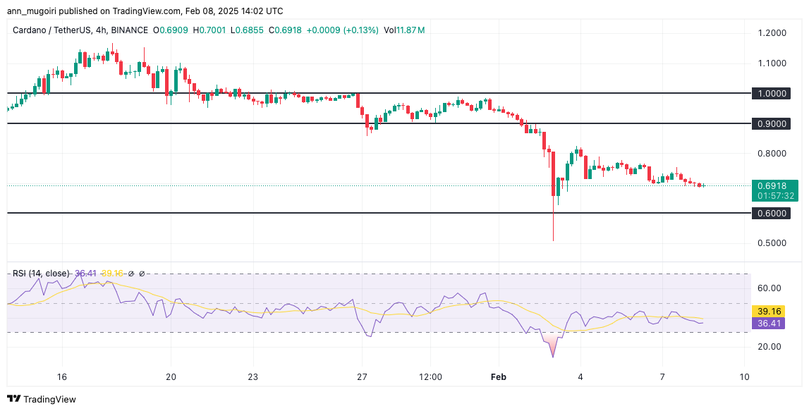 Cardano 15 Dolara Ulaşabilir mi?