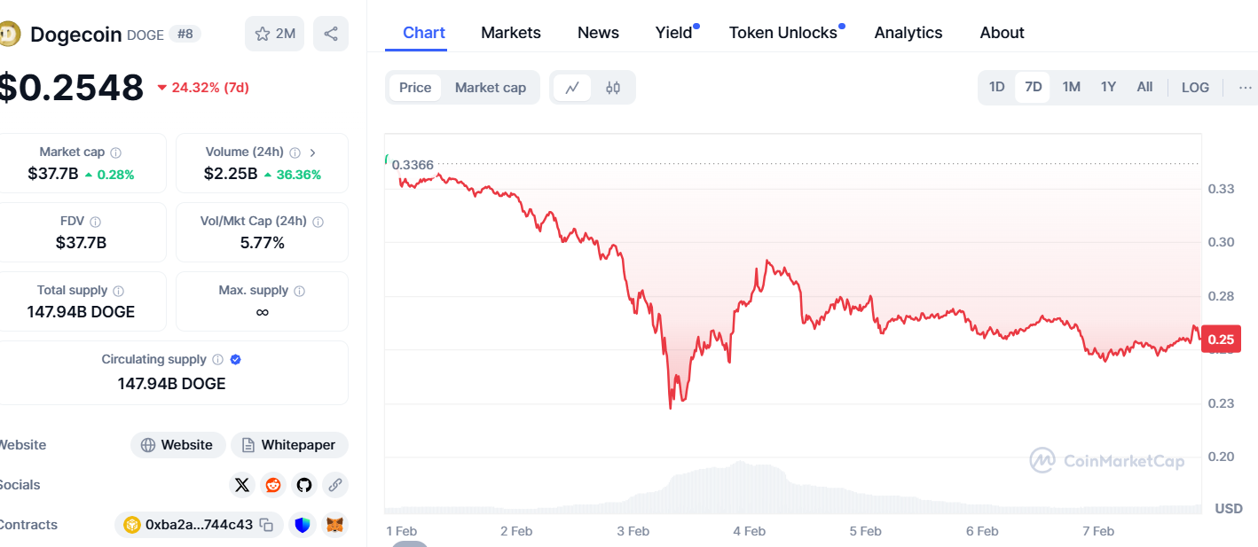 Dogecoin Fiyatında Kritik Seviyeler