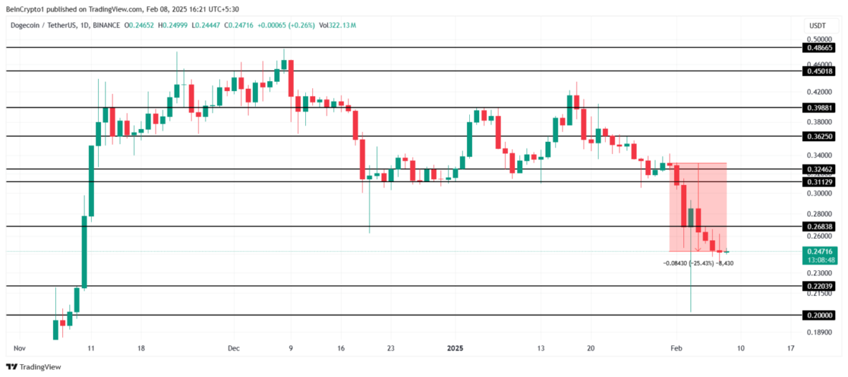 Dogecoin (DOGE) Son Durum: Değer Kaybı ve Piyasa Belirsizliği