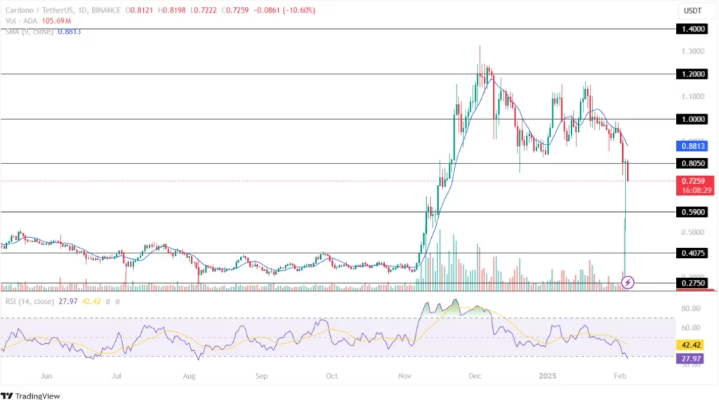 Kripto Para Piyasasında XRP ve ADA Analizi