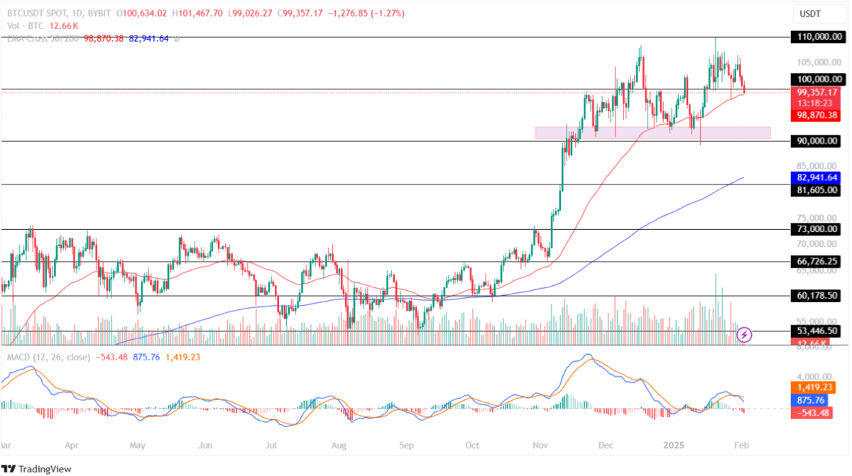 Bitcoin (BTC) – 100 Bin Doların Önemi