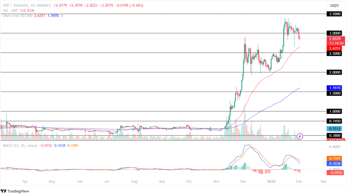 Sonuç: BTC, ETH ve XRP İçin Gelecek Ne Getirecek?