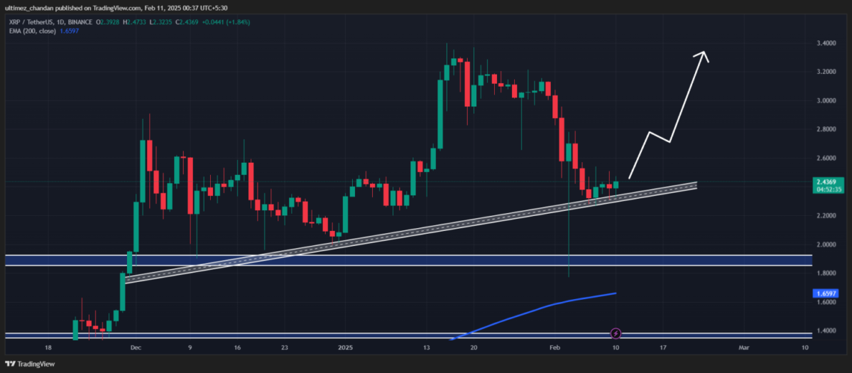 XRP Piyasasında Yükseliş Beklentileri ve Yatırımcı Davranışları