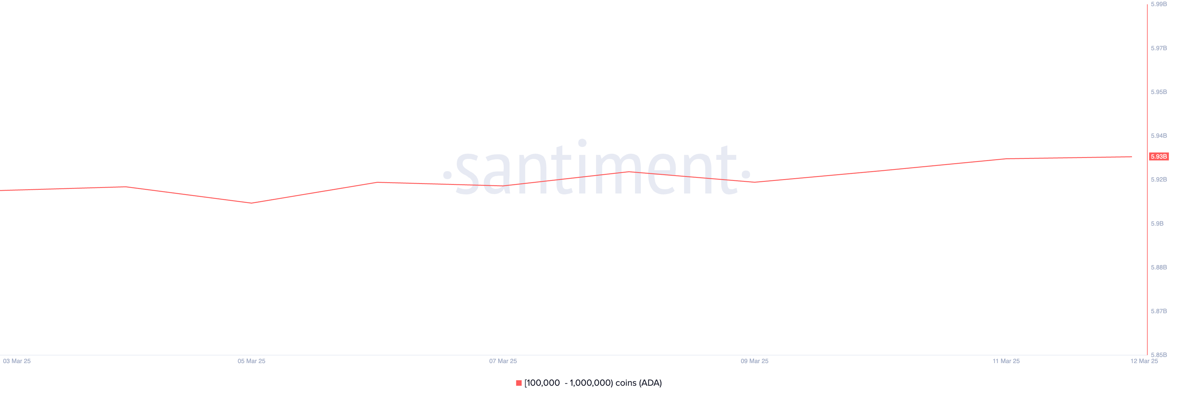 Cardano (ADA) Fiyatı ve Yatırımcı Davranışları