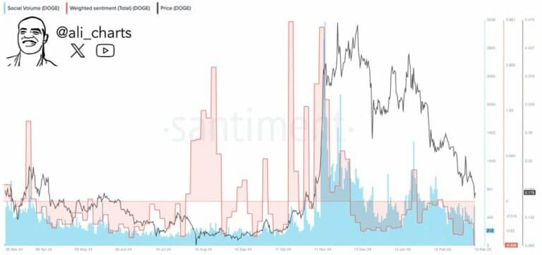 Dogecoin (DOGE) Balinaların Alımlarıyla Yükselişe Geçebilir